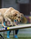 20220918-pvkc-3071