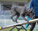 20220918-pvkc-3152