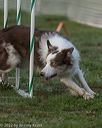 20220918-pvkc-3002