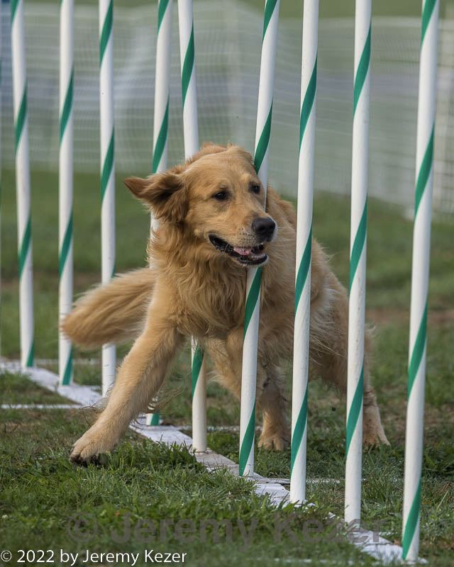 20220918-pvkc-3013.jpg