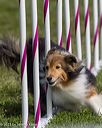 20230916-pvkc-1109