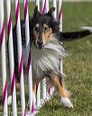 20230916-pvkc-1222