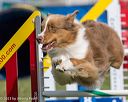 20230916-pvkc-1278