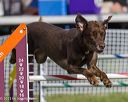 20230916-pvkc-1304