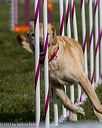 20230916-pvkc-1307