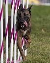 20230916-pvkc-1331