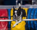 20230916-pvkc-1470