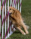 20230916-pvkc-1542