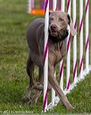 20230916-pvkc-1549