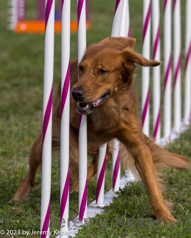 20230916-pvkc-1522.jpg