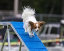 20230916-pvkc-0023