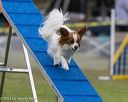 20230916-pvkc-0025