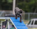20230916-pvkc-0031