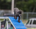 20230916-pvkc-0032