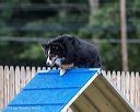 20230916-pvkc-0155
