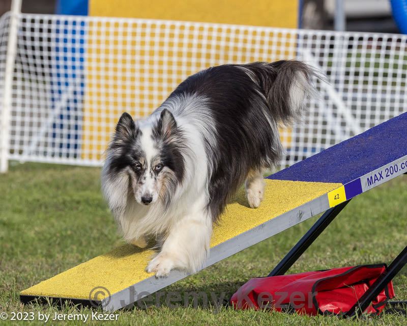 20230916-pvkc-1597.jpg