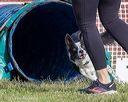 20230916-pvkc-1617