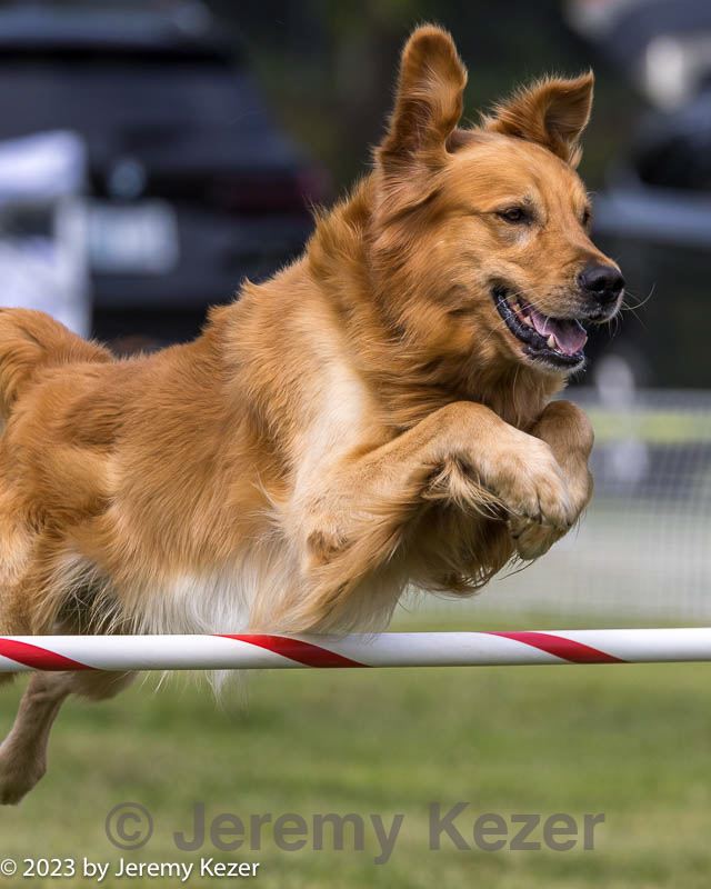 20230916-pvkc-0867.jpg