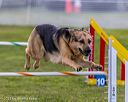 20230916-pvkc-1799