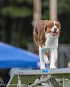 20230916-pvkc-0917
