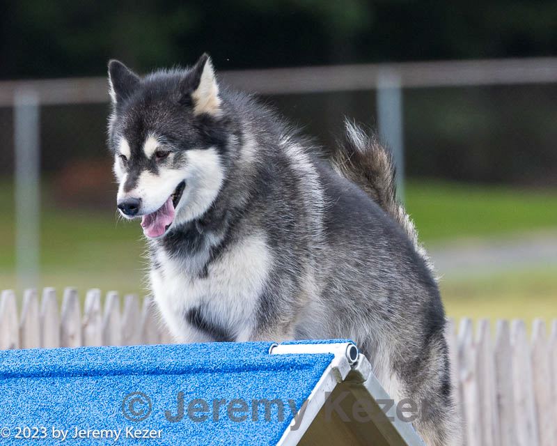 20230916-pvkc-0897.jpg