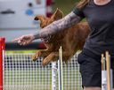 20230916-pvkc-2139