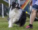 20230917-pvkc-2781