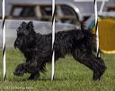 20230917-pvkc-2397