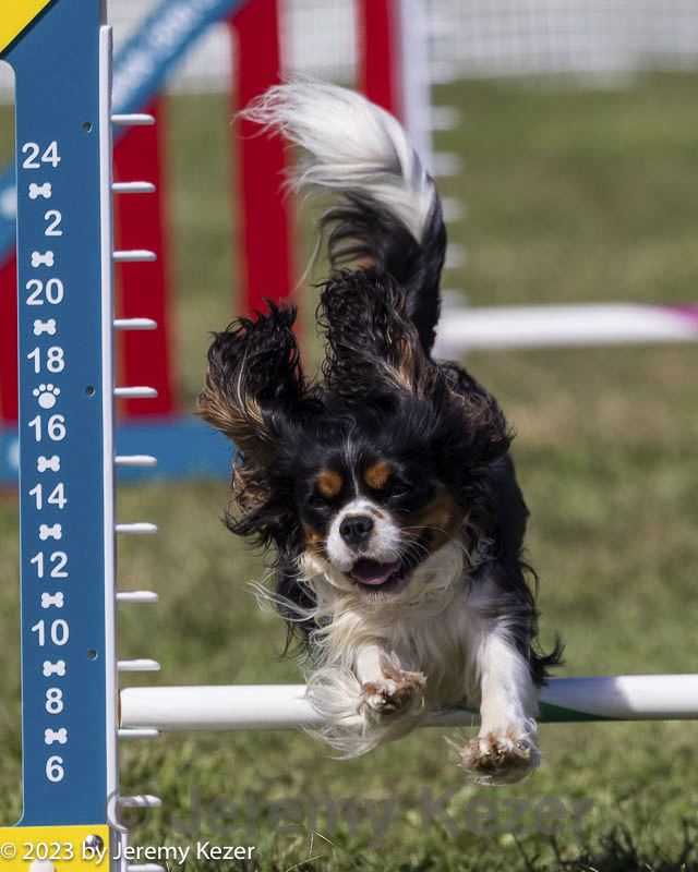 20230917-pvkc-2353.jpg