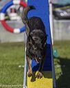 20230917-pvkc-2158
