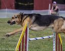 20230917-pvkc-3108