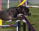 20230917-pvkc-2016