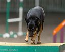 20250615-ccm-0296