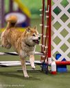 20260103-acnh-2672