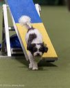 20260103-acnh-2448