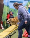 20260103-acnh-2454