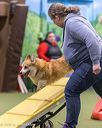 20260103-acnh-2455