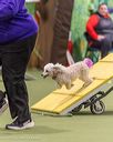 20260103-acnh-2466