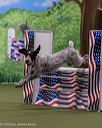 20260103-acnh-2219