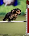 20260103-acnh-2014