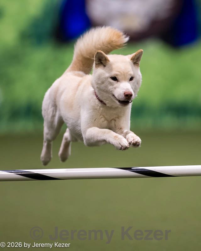 20260103-acnh-2012.jpg
