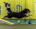 20260103-acnh-2516