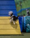 20260103-acnh-2170