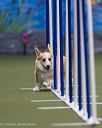 20260104-acnh-0049