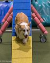 20260104-acnh-0286