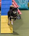 20260104-acnh-0294