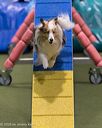20260104-acnh-0298