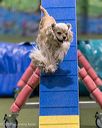 20260104-acnh-0305