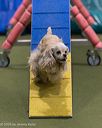 20260104-acnh-0316