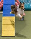 20260104-acnh-0324